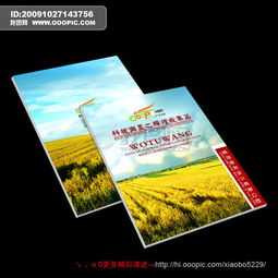 畫冊設計的多元領域應用與核心要素